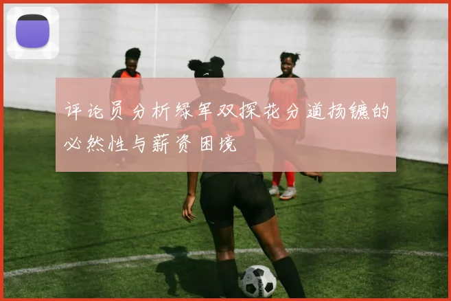 评论员分析绿军双探花分道扬镳的必然性与薪资困境